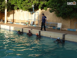 2016 Niamey ITU Activator Community Seminar