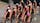 2016 Jewel World Triathlon Gold Coast - Elite Women's Highlights