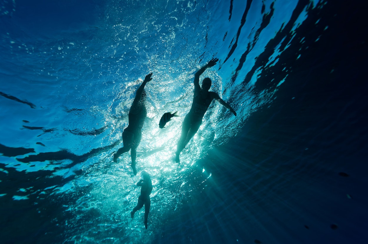 Great moments in triathlon by Petko Beier Great moments in triathlon by Petko Beier