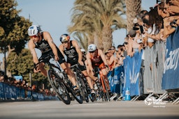 World Triathlon