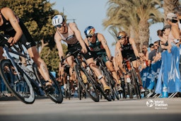 World Triathlon