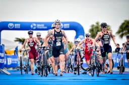 World Triathlon